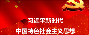 习近平新时期中国特色社会主义思想进建